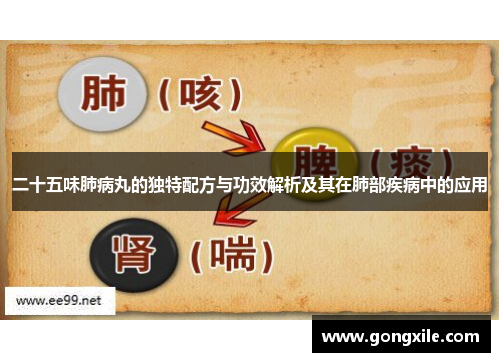 二十五味肺病丸的独特配方与功效解析及其在肺部疾病中的应用